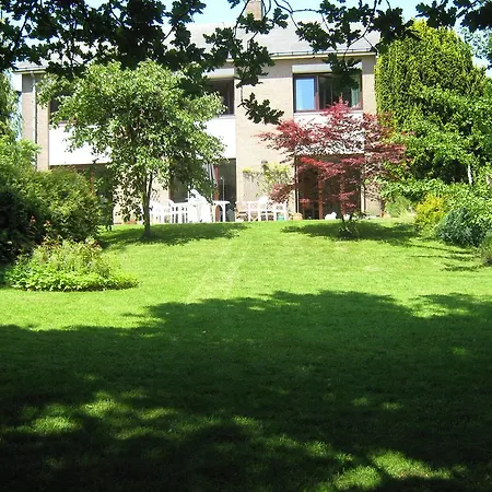 D'orange ブレン・ラルー